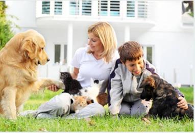 Bir Çocuğun Cevabında Gizli Olan Hayvan Sevgisi Bir Çocuğun Cevabında Gizli Olan Hayvan Sevgisi